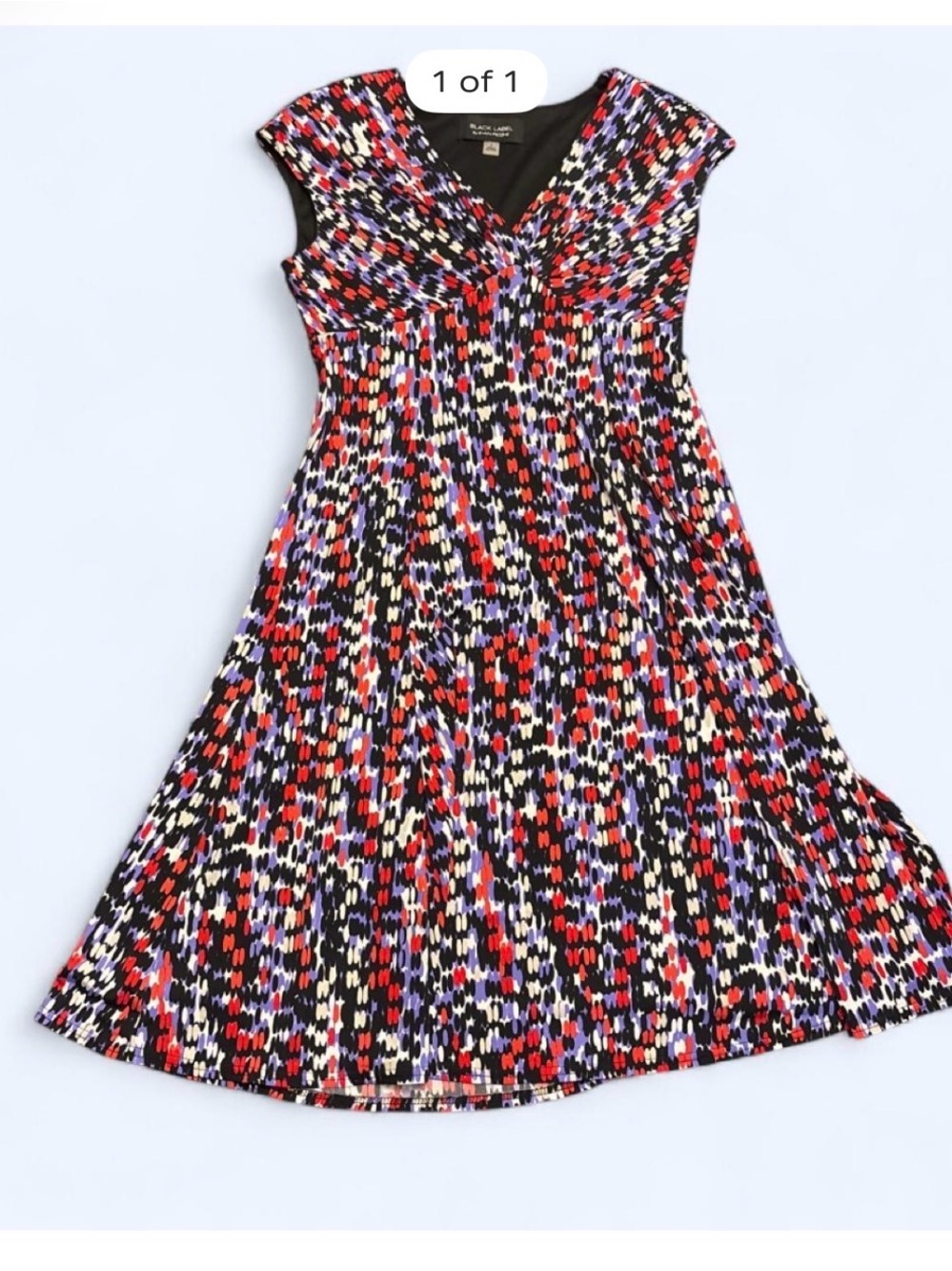 Black Label by Evan Picone Red Multi Print V-Neck Fit & Flare Dress